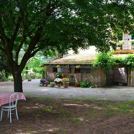 Campo Alle Monache Bucine Luaran gambar