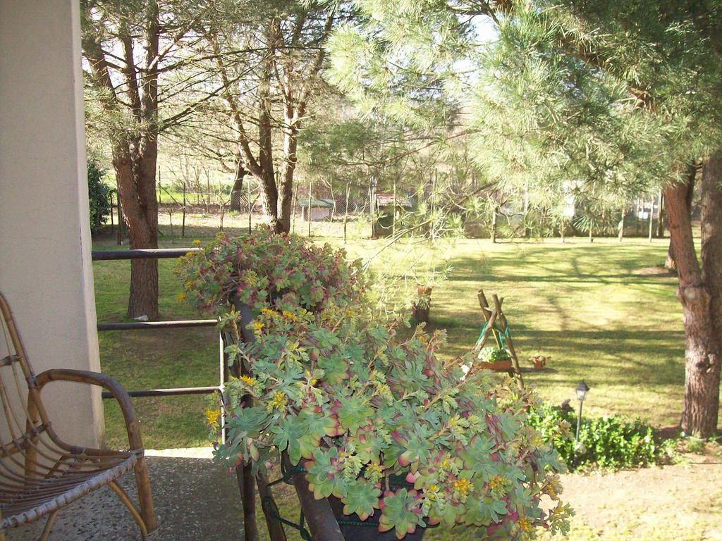 Campo Alle Monache Bucine Bilik gambar