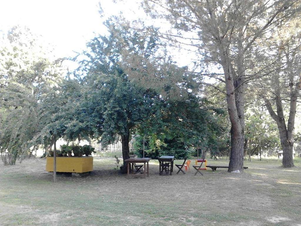 Campo Alle Monache Bucine Luaran gambar