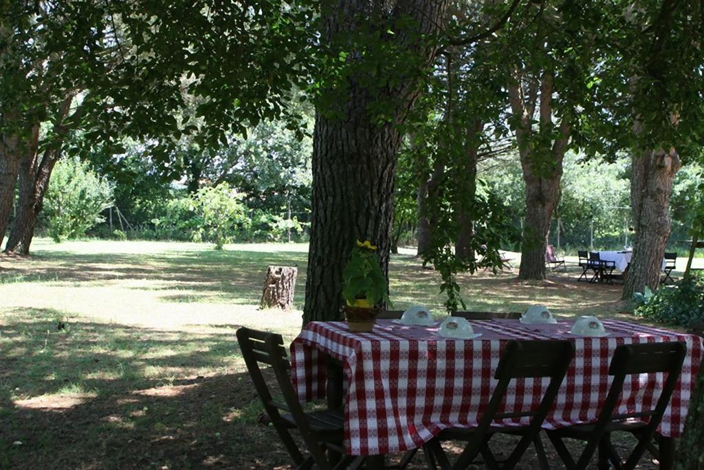 Campo Alle Monache Bucine Luaran gambar