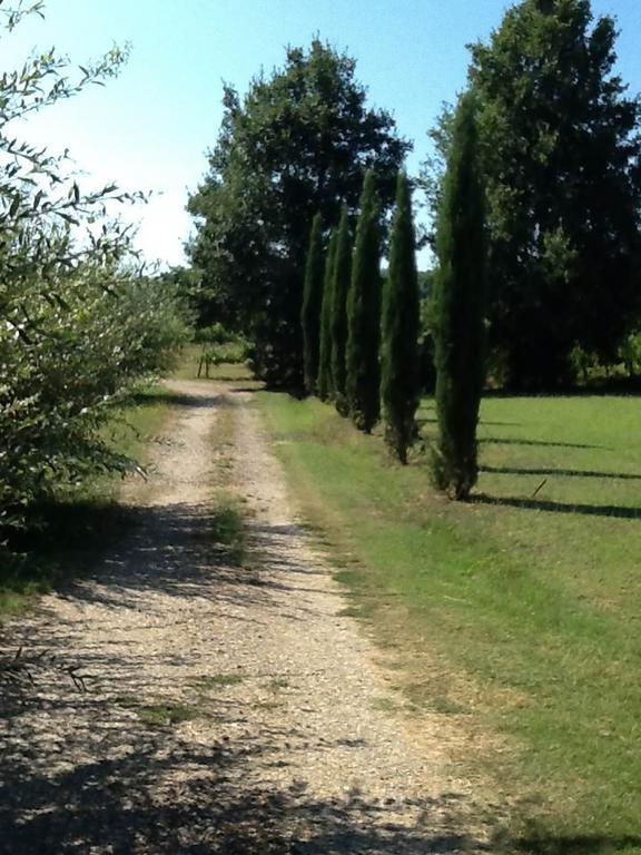 Campo Alle Monache Bucine Luaran gambar