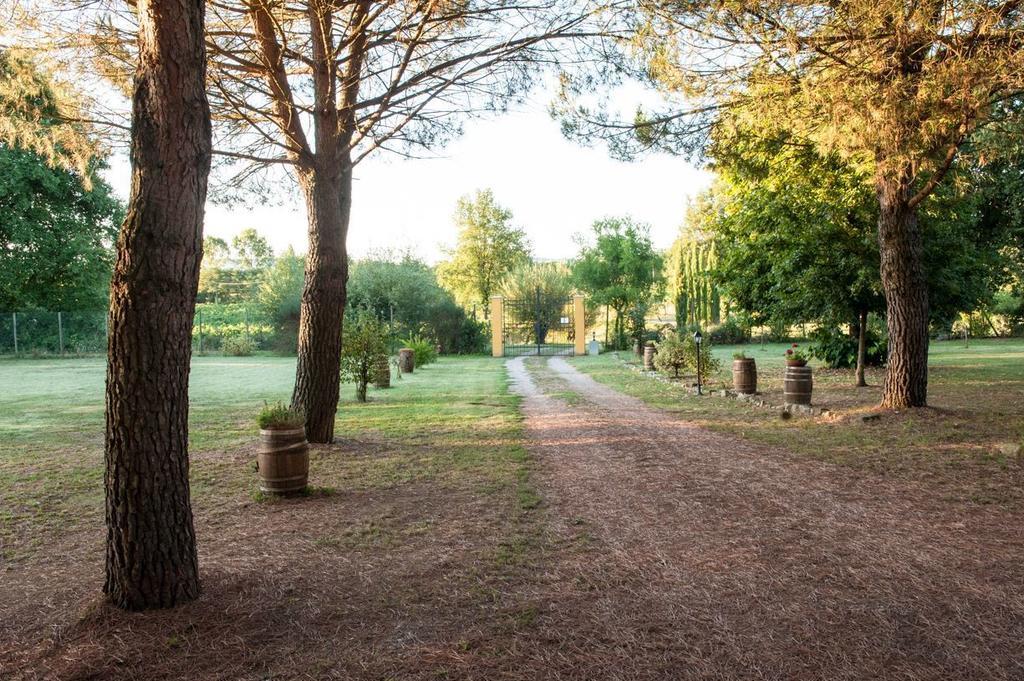 Campo Alle Monache Bucine Luaran gambar