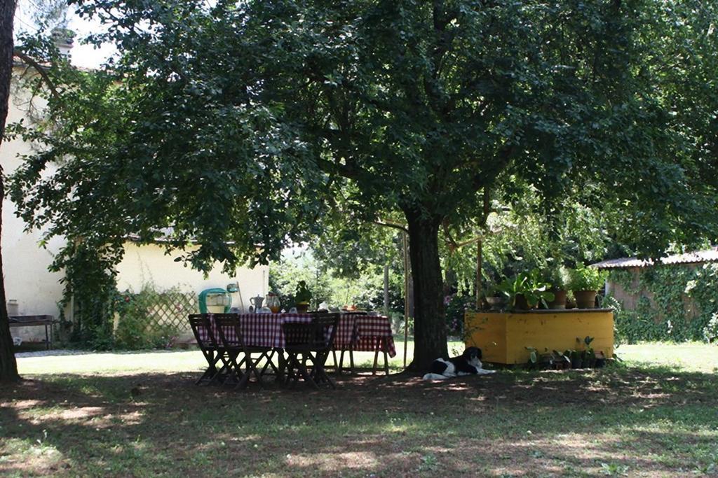 Campo Alle Monache Bucine Bilik gambar