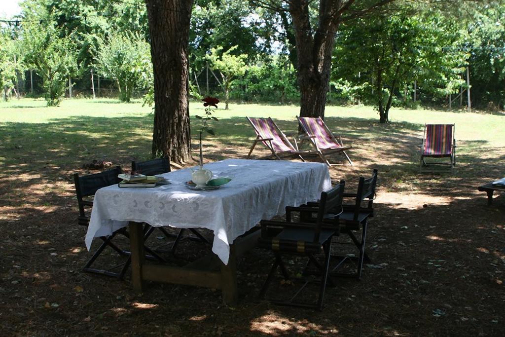 Campo Alle Monache Bucine Luaran gambar