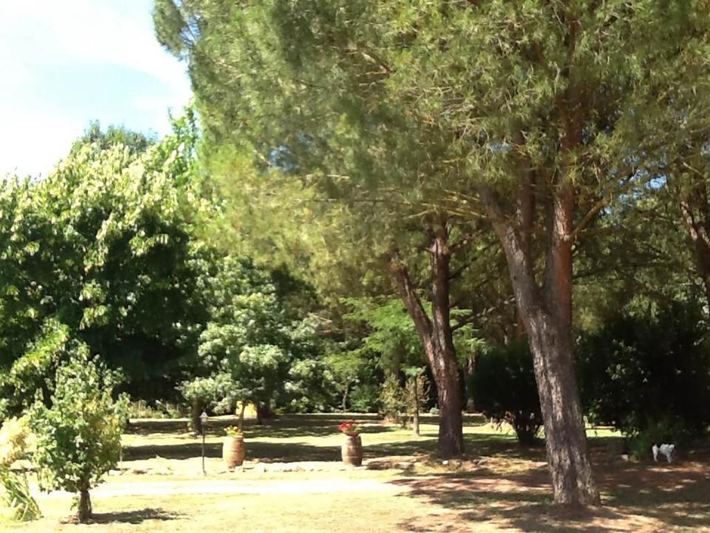 Campo Alle Monache Bucine Luaran gambar