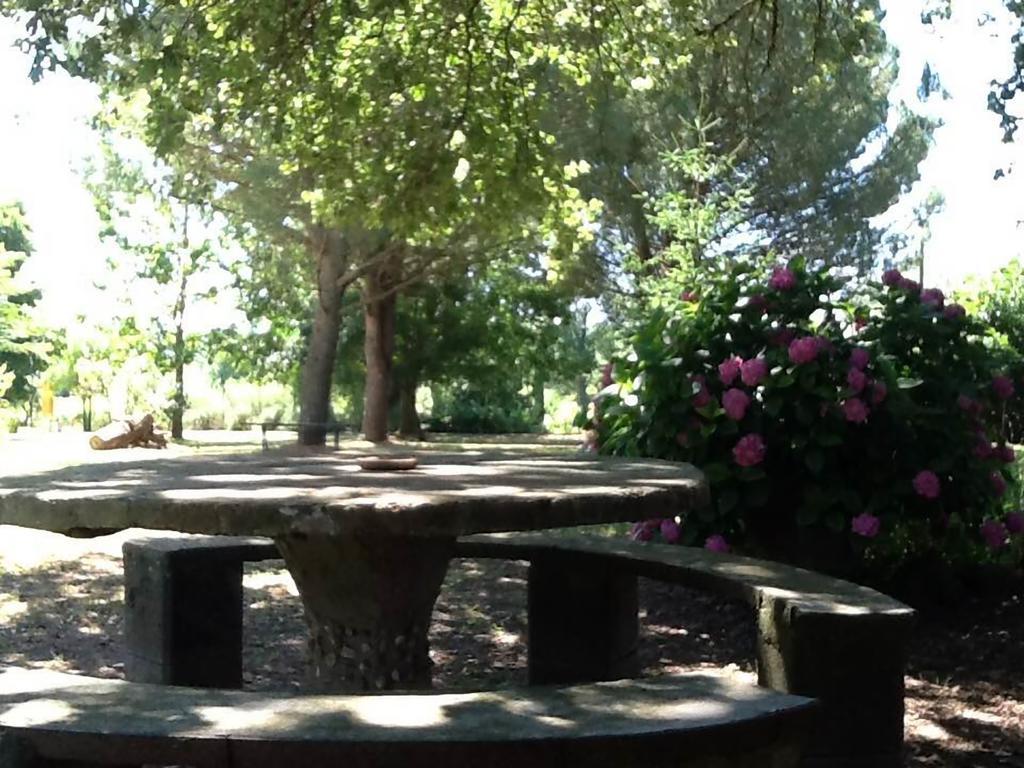Campo Alle Monache Bucine Luaran gambar