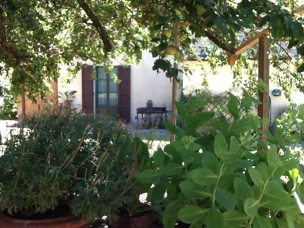 Campo Alle Monache Bucine Luaran gambar
